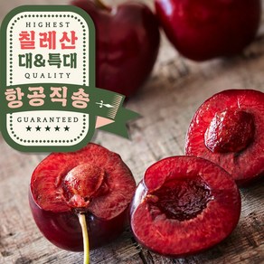 오라밀 달콤탱글한 칠레산 생 체리, 1박스, 500g(L 과)