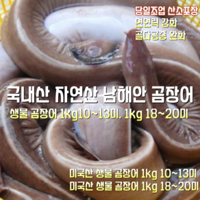 [산지직송] 국내산 자연산 남해안 새벽조업한 생물 곰장어 1kg 10~13미. 1kg 18~20미 양념소스증정 1박스