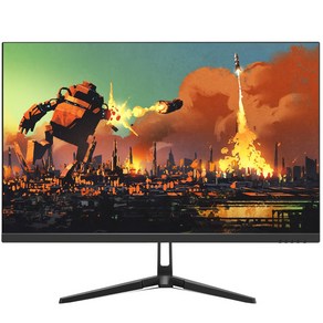 XAVVIO X132BF-H2 FHD 80cm 165Hz 게이밍 컴퓨터 모니터, X132BF-H2FHD(일반)