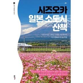 시즈오카 일본 소도시 산책 : 시즈오카현 기후현 나고야 이누야마의 역사·문화로 떠나는 여행, 박병춘 저, 포르체