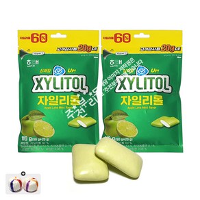 해태제과 자일리톨 애플라임민트껌(110g) 2봉+자색옥춘사탕 20g 세트, 110g, 1개