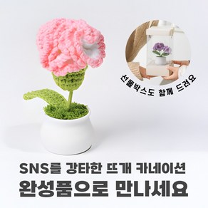 [상상한스푼 카네이션] 완성품 핸드메이드 손뜨개 뜨개질 카네이션, 핑크 그라데이션, 1개