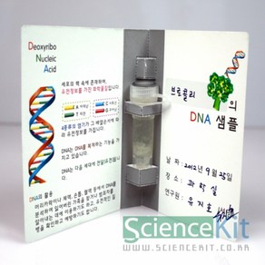 식물세포 DNA추출 샘플북 만들기 4인세트, 본상품, 본상품