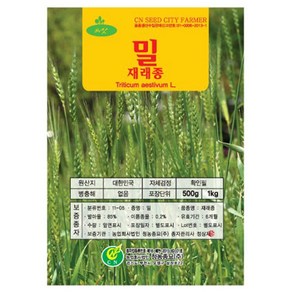 재배용 밀씨앗 500g 1kg, 1개