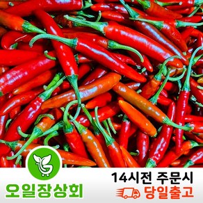 국내산 청양홍고추 청양홍초 매운청양홍고추 1kg 2kg 3kg, 1개, 2kg내외