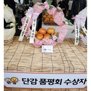 진영단감축제 단감왕 청림농원 단감 감, 부유단감 5kg 21과 내외(대)한정수량