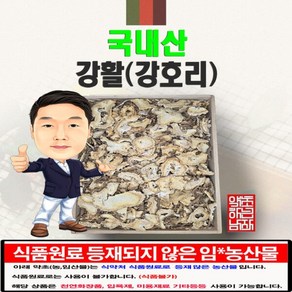 국내산 강활(강호리) 300g (경북 영천) 국산