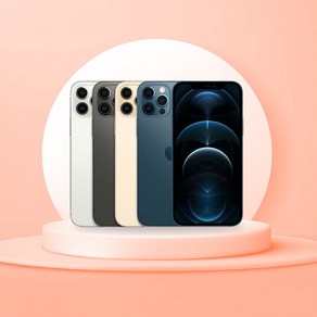 [SUNRISE MALL] 애플 아이폰12 프로 Apple iPhone12 po 중고폰 리퍼폰 공기계 자급제 알뜰폰, 특S급, 256GB, 그래파이트