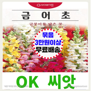 [OK씨앗] [금어초] 금어초씨앗 맥시멈 혼합 종자(오케이씨앗), 1개