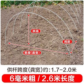 아치 비닐하우스 활대 골조 고탄성 조립식 텃밭 모종 파이프 온실, 10개