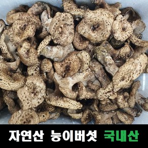 능이버섯 자연산 국내산, 건조능이 30g, 1개