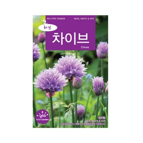 모두다 허브씨앗 차이브씨앗(400립), 1개