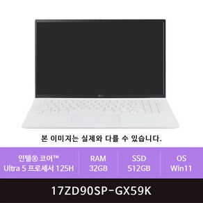 LG 그램 프로17 17ZD90SP-GX59K Win11설치(zoaa)