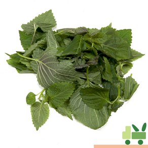 사라상회 깨순 (어린깻잎 깻순) 1kg, 1개