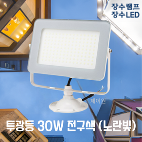 장수램프 컬러원 LED 사각 투광기 30W 백색, 1개