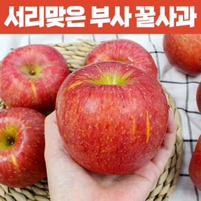 서리맞은 경북 부사사과 햇사과 꿀사과, 1박스, 2kg(가정용) 소11-13과