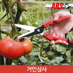 아루스 채과가위 SE-65/ 적과가위 열매가위 수확용 채소 과일 따기 일제 아로스 ARS