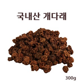 국내산 개다래 충영 충령 충녕 말린 건조 개다래열매 목천료 말다래 원물 차 국산 100%, 1개, 300g