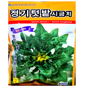 월동시금치씨앗 재래종시금치종자 뿔시금치씨 대포장 400g 반되, 1개