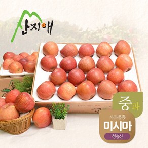 [산지애] 알뜰 못난이사과(중과) 4.5kg 2box / 당도선별 청송산 미시마, 2개