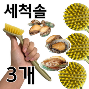 전복 세척솔 손질솔 과일 조개껍질 솔 채소세척솔, 3개, 단일