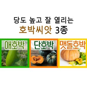 호박씨앗 3종 세트 애호박 단호박 맷돌호박 호박씨 5월 6월 파종, 1개