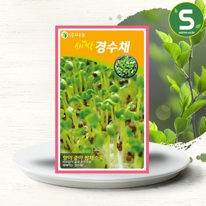 솔림텃밭몰 새싹경수채씨앗 12g 새싹경수채 새싹채소씨앗, 1개