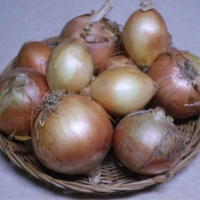 [싱글벙글]양파 3000(1kg), 1세트, 약1kg