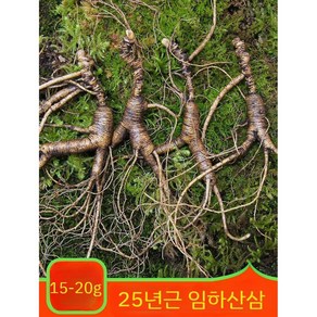 25년근 백두산산삼 임하삼 산양삼 장뇌삼 15-20g/뿌리 4뿌리, 1개