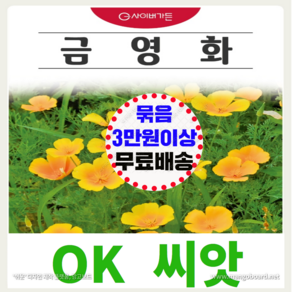 [OK씨앗] [금영화(캘리포니아포피)] 금영화씨앗 종자(오케이씨앗), 1개