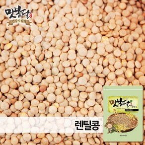 맛봉달 브라운렌틸콩 렌즈콩 렌틸콩 슈퍼푸드 캐나다산 23년산, 1개, 20kg 마대포장