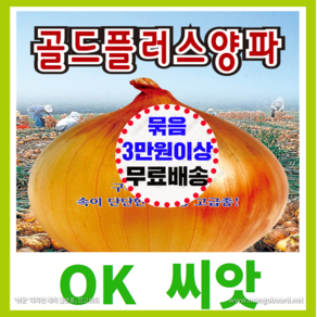 [OK씨앗] [골드플러스양파] 양파씨앗(오케이씨앗), 1개