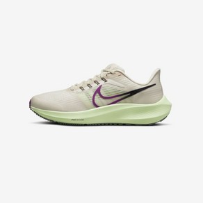 나이키 운동화 에어 줌 페가수스 39 헬스 런닝화 Nike Ai Zoom Pegasus 39 DH4072-101