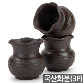 세인화분 국산 고리 다육이 다육 화분 3P, 3개, 약 75x85x50mm, 고리화분(S88)