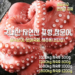 [산지직송] 국내산 자연산 포항 참문어 자숙문어 숙회 1300g 자숙후 800g 박스