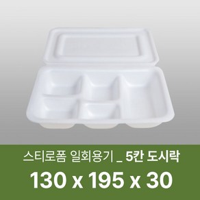 태양산업사 일회용 포장용기 도시락용기 일회용도시락 5칸도시락 100개 1박스, 1개