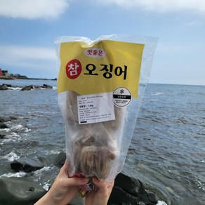 반건조 오징어 10마리 피데기 반건조오징어 특대, 반건조오징어 10마리 800g, 1개