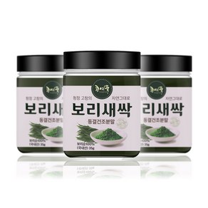 콩여울 고창 황토 동결건조 큰알 새싹보리 분말, 1개, 35g