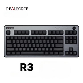 리얼포스 R3 Mac 맥용 텐키리스 45g 균등 영문배열 R3HH11 REALFORCE, 다크그레이