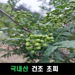 건조 초피열매 국내산, 1개, 100g