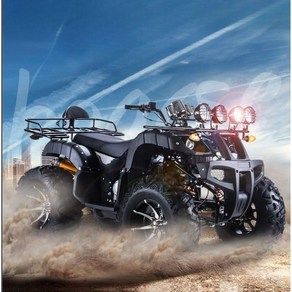 대형 atv 250cc 사륜 오토바이 사발이 4륜 바이크