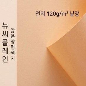 뉴씨플레인 종이문화 얇은 양면색지 120g 전지 낱장 1매 No.21 살구색