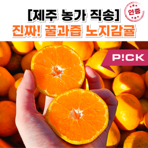 [달콤끝판왕] 제주 노지감귤 꿀브릭스 감귤, 1개, 4.5kg