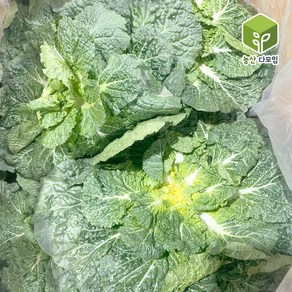 국내산 봄동배추 10kg, 1개