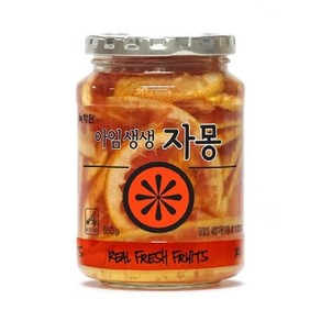 [녹차원] 아임생생자몽 550g, 1개