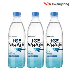 광동 아이스웨일 탄산수 플레인 500ml X 20병, 20개