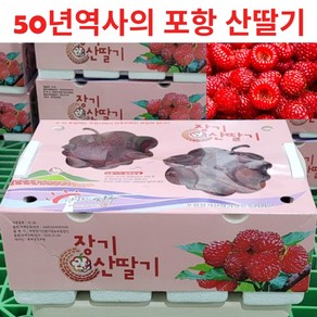 50년역사 고당도 GAP인증 산딸기 2kg 1개