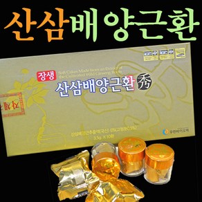 우린바이오텍 장생 산삼배양근 환 수, 37.5g, 1개