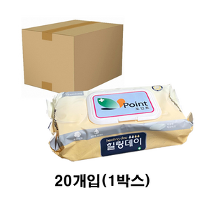 힐링데이 물티슈 캡형 빅사이즈 순면 유아 60매x20개, 60매, 20개