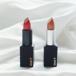 콰티 마이무드 벨벳 매트 립스틱 Velvet Matte Lipstick 매트립 선명한 발색 가볍게 밀착 지속력강화, 3.5g, 무드 뮤트, 1개